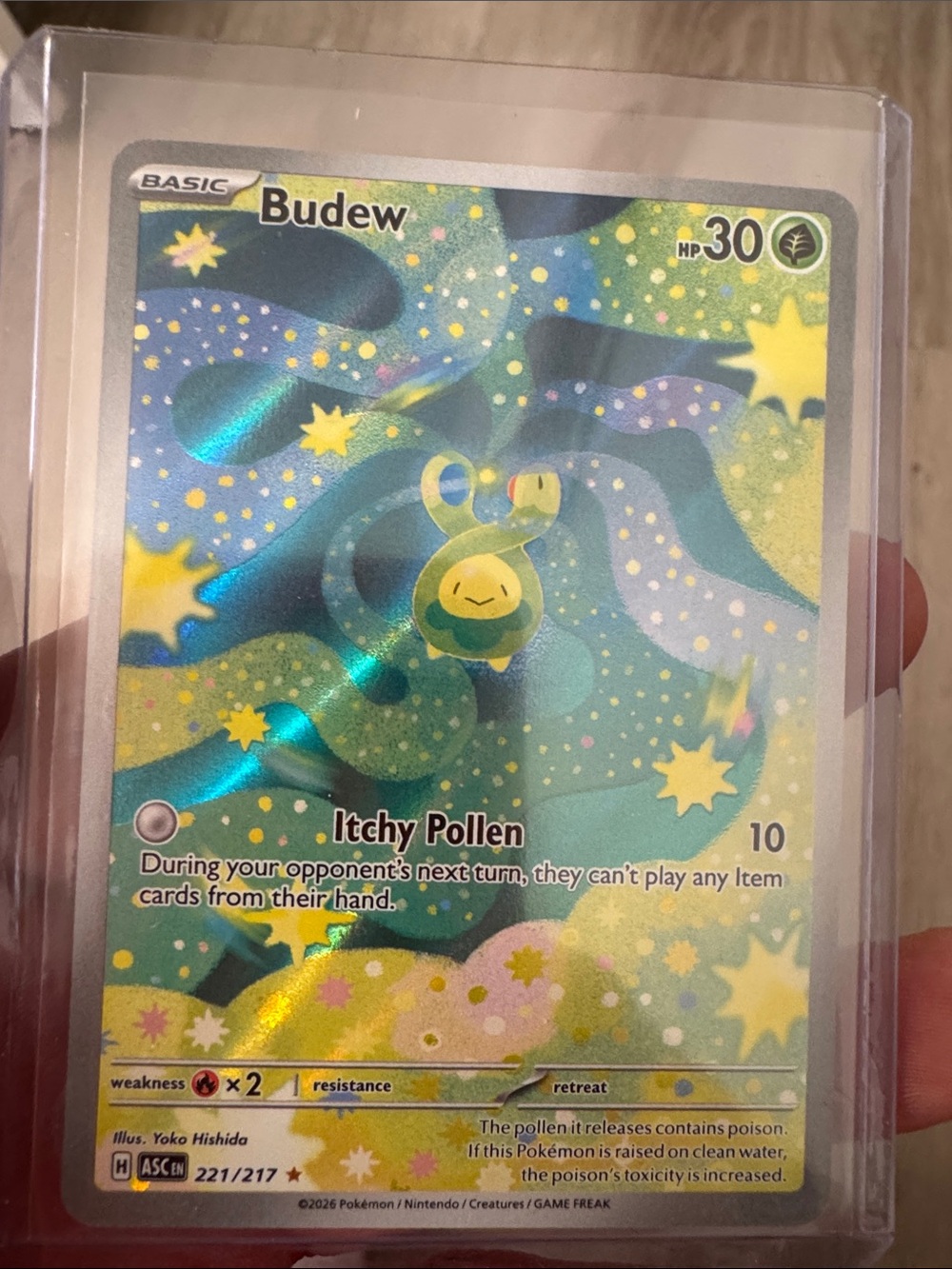 Pokemon Budew Holofoil Trading Card - Green, Yellow, Blue